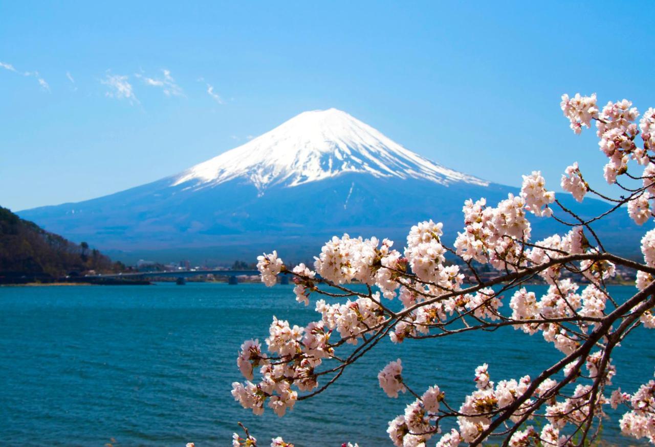 후지카와구치코 Erable Mt.Fuji "Zen" 빌라 외부 사진